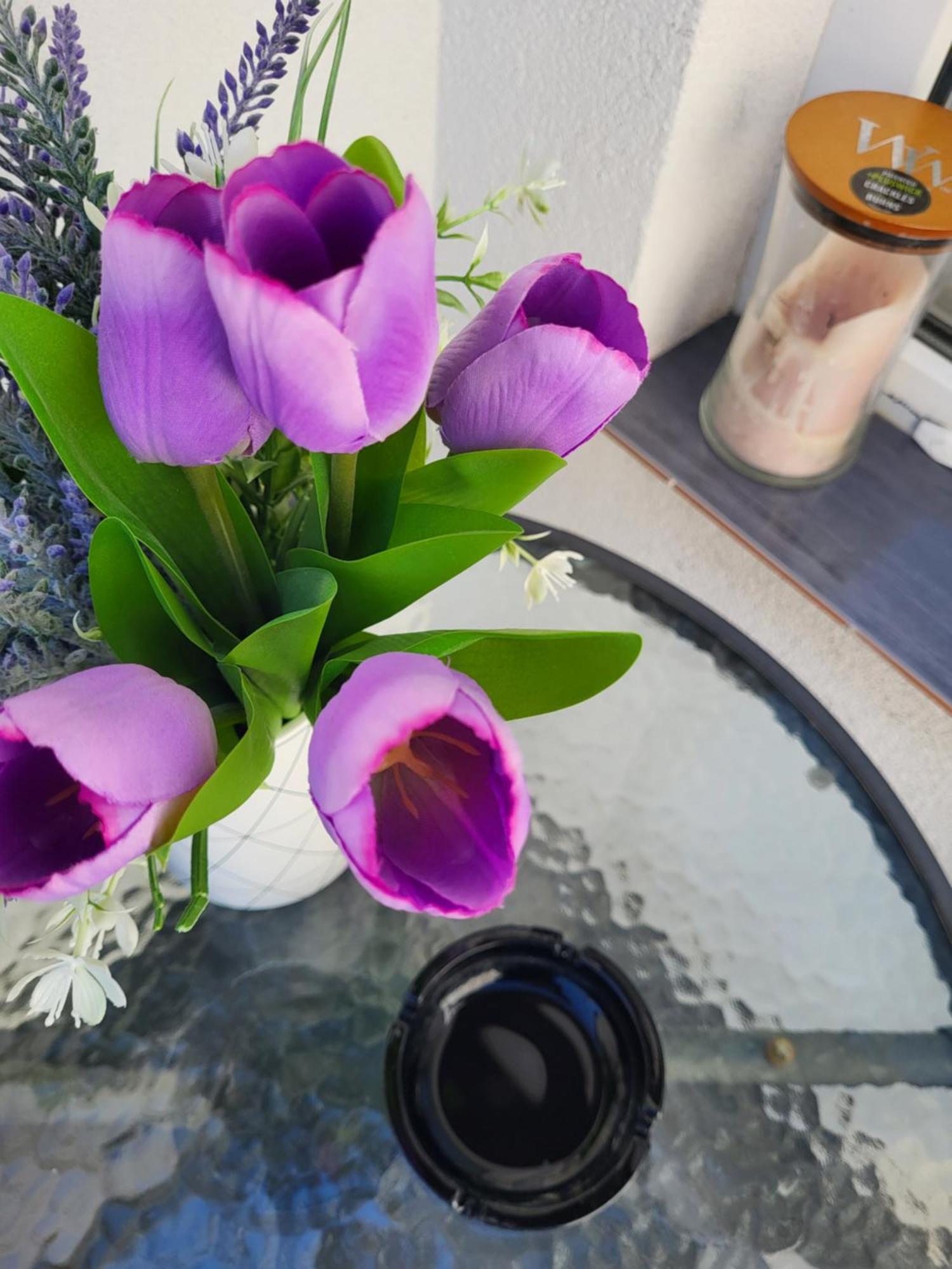 מוסטר Purple Rooms מראה חיצוני תמונה