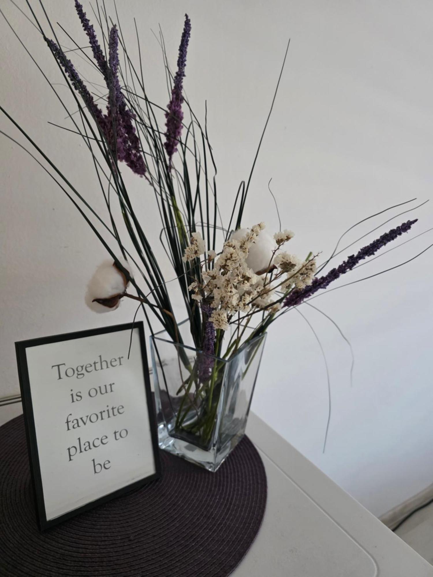 מוסטר Purple Rooms מראה חיצוני תמונה